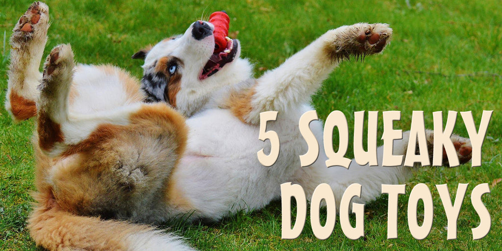 5 Squeaky Dog Toys Your New Puppy Will Love