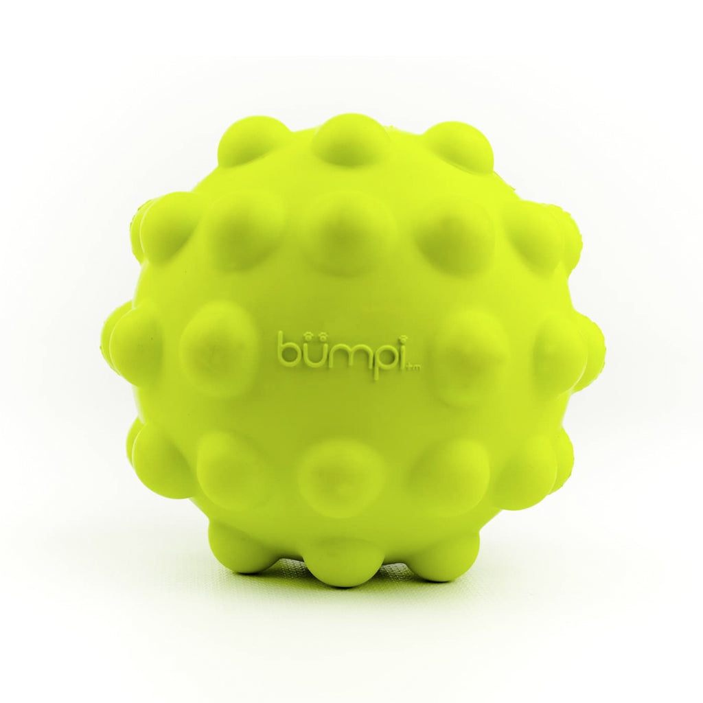 PetProjekt Bumpi Durable Rubber Dog Ball Toy